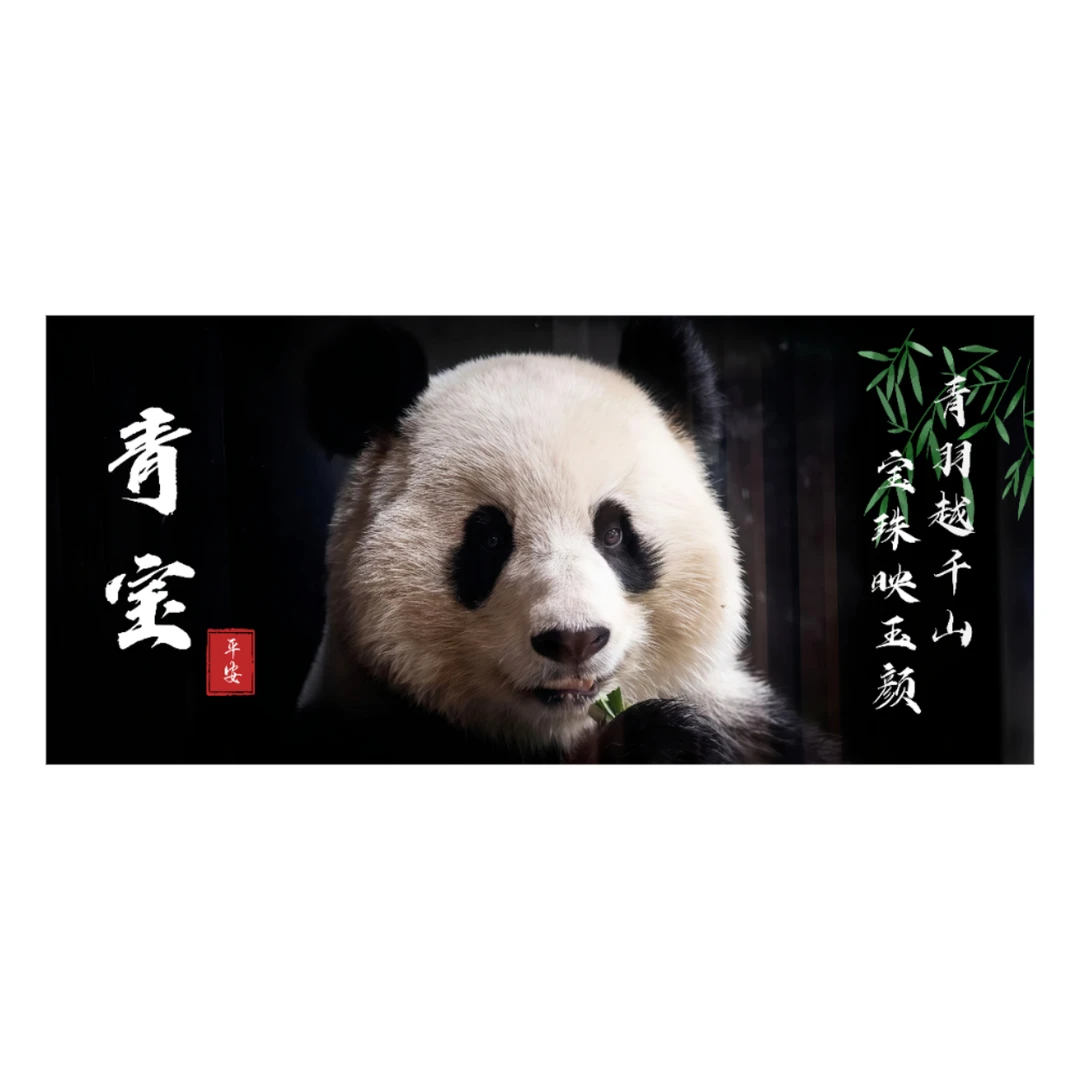 大熊猫青宝生日定制鼠标垫900*400，超厚大版款