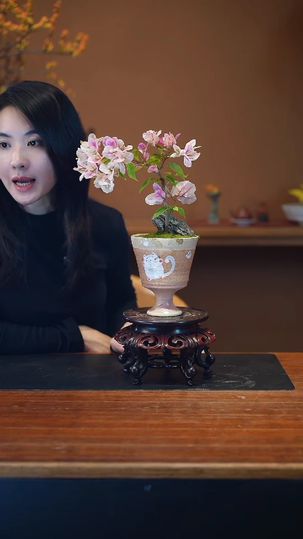 全部花朵三角梅盆景盆景盆景