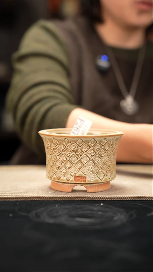 口径花盆-11-28-267