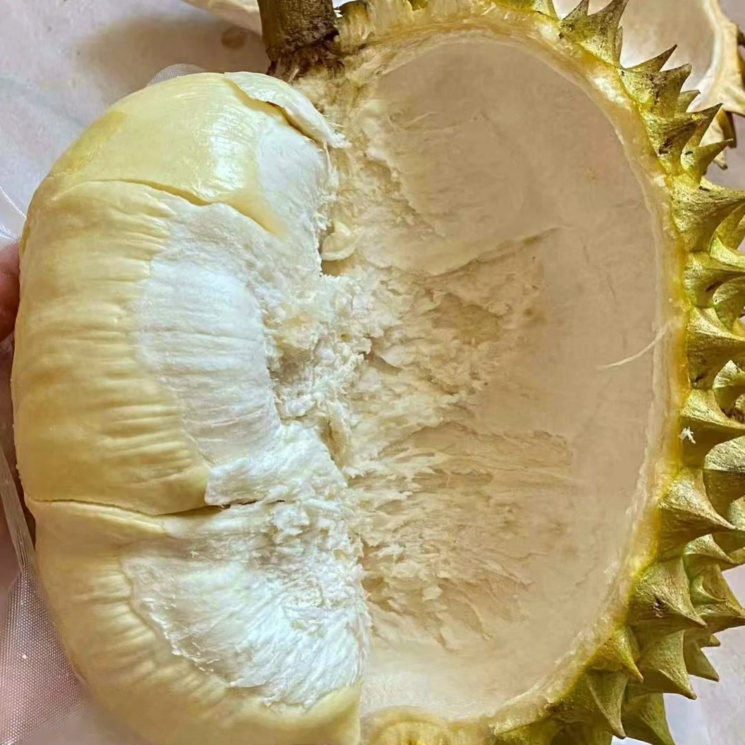 新鲜越南金枕榴莲【3.77KG】【核大】24.9/斤金枕越南社会主义共和国金枕越南社会主义共和国