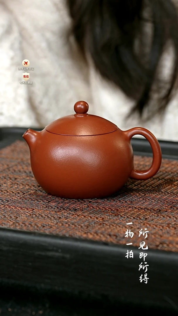 茶壶紫砂全手朱泥倒把西施壶 一物见春