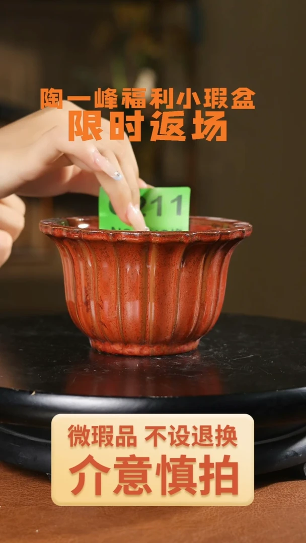 九如兰盆 瑕盆        211