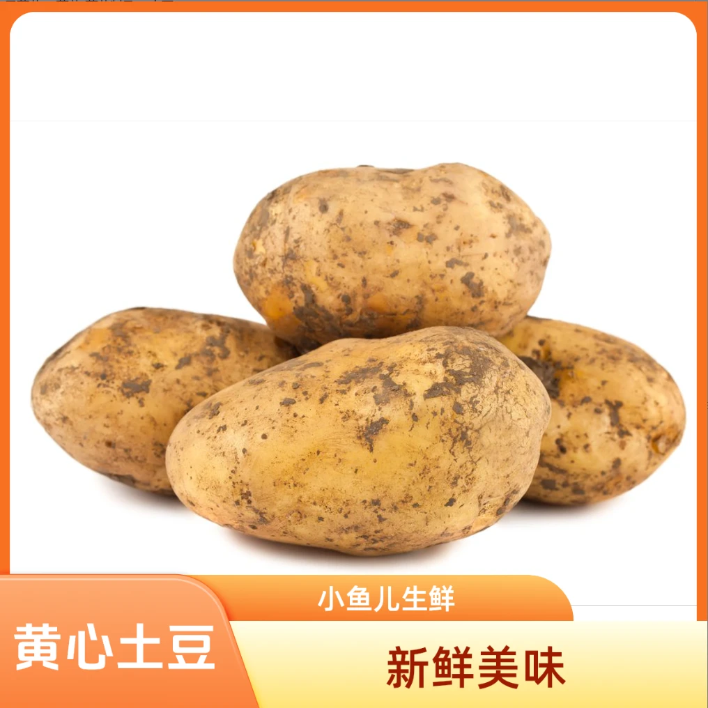 【小鱼儿生鲜】黄心土豆