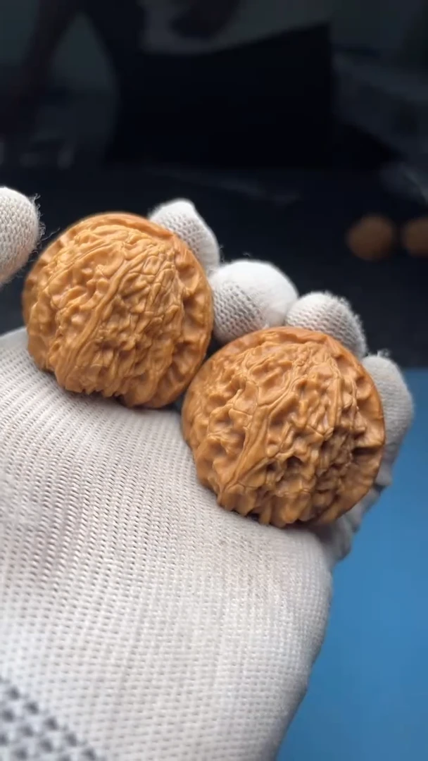 桃核把件a175  白狮子 38尺