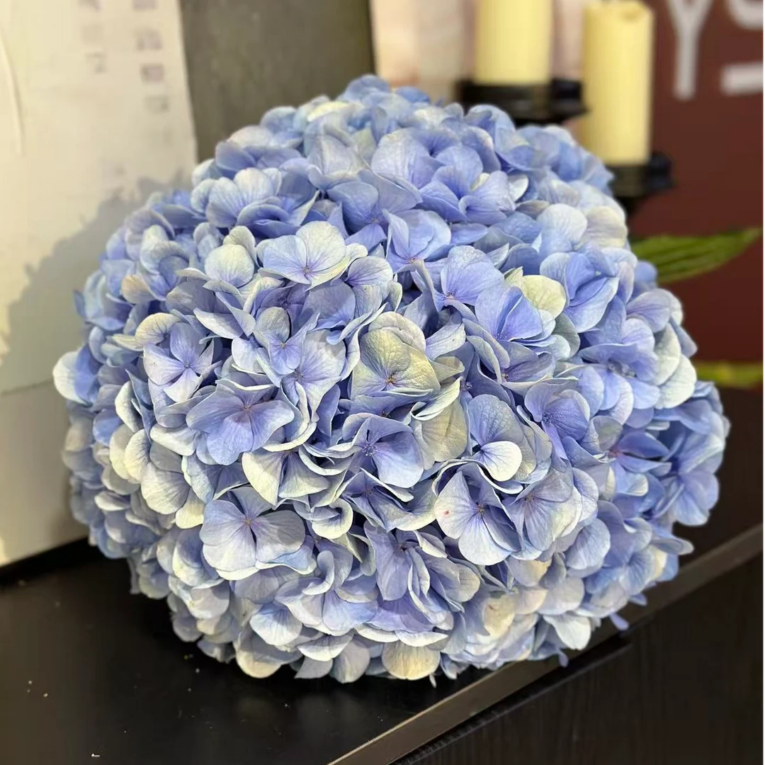 云上俏【青花瓷棒棒糖绣球】2支装