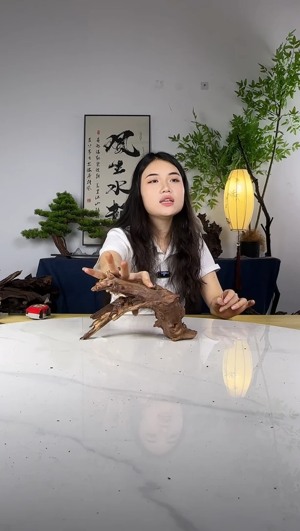 嘟*拍这个定向编号39