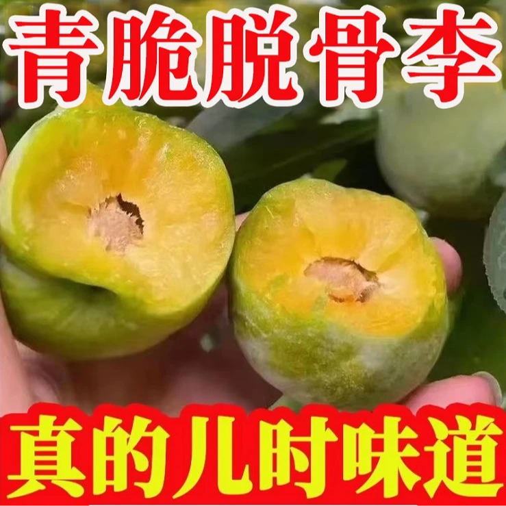 S正宗脱骨李青脆李水果新鲜当季空心李子脆甜成熟清甜