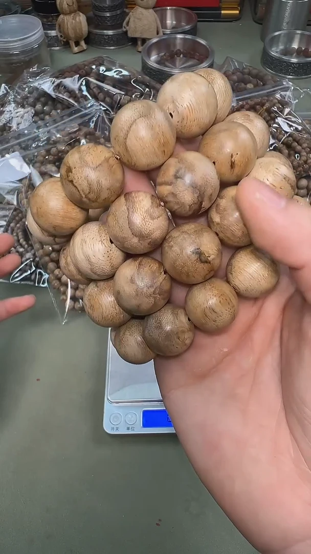 越南顺化软丝奇楠种21mm单圈多样性发其一