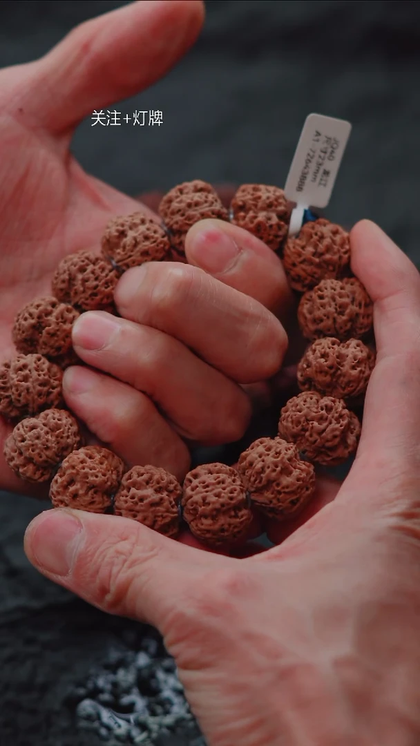 手串金刚菩提原生态超头【Q 40】22尺