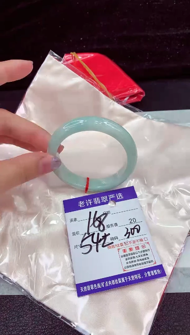 未镶嵌手镯翡翠11111