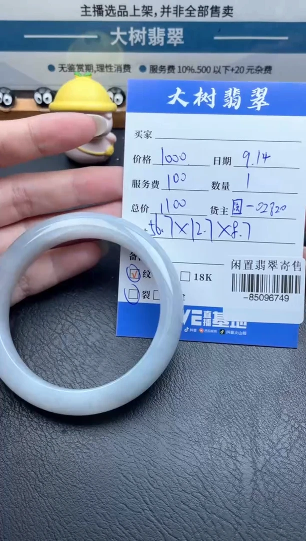 未镶嵌手镯翡翠多人-85096749