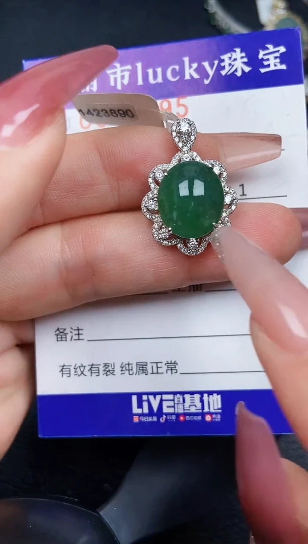 翡翠银S925镶嵌颈饰5295