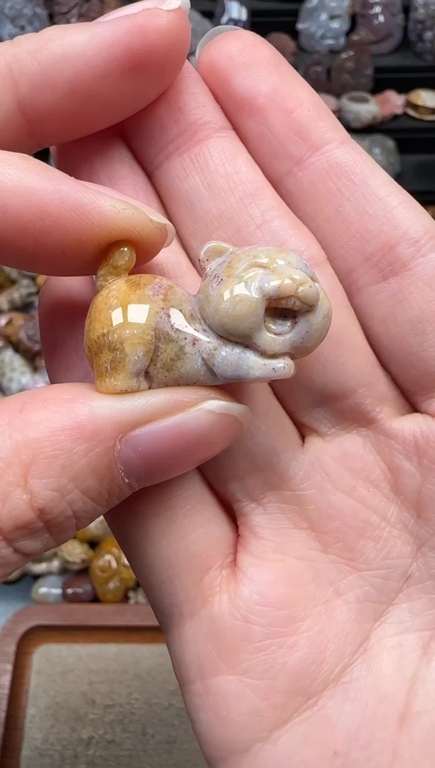 颈饰未镶嵌硅化珊瑚（珊瑚玉）730