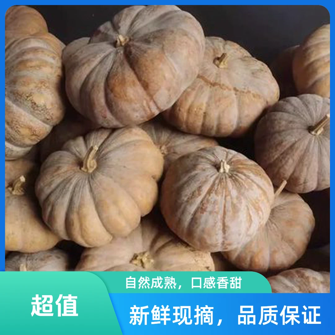西瓜夫妇--老品种南瓜