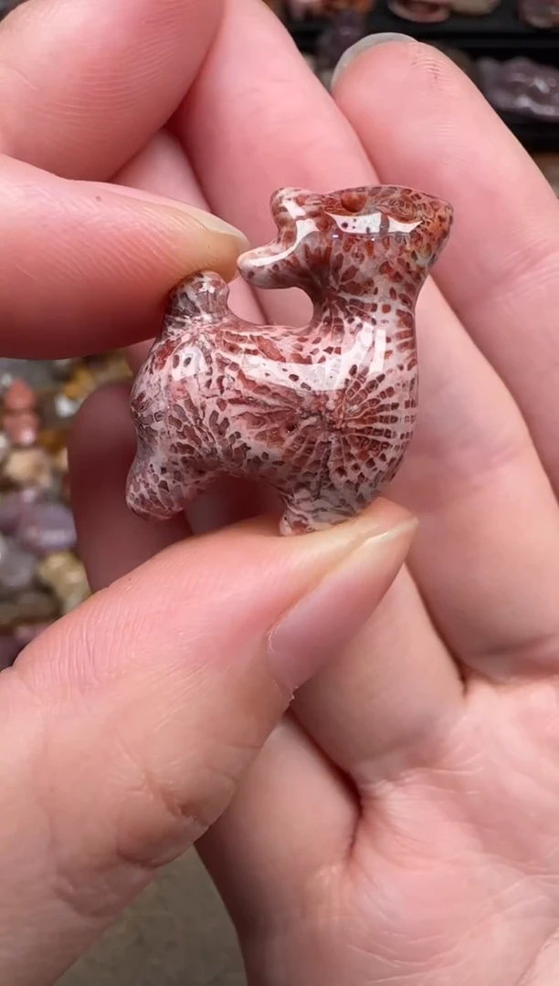 颈饰未镶嵌硅化珊瑚（珊瑚玉）155