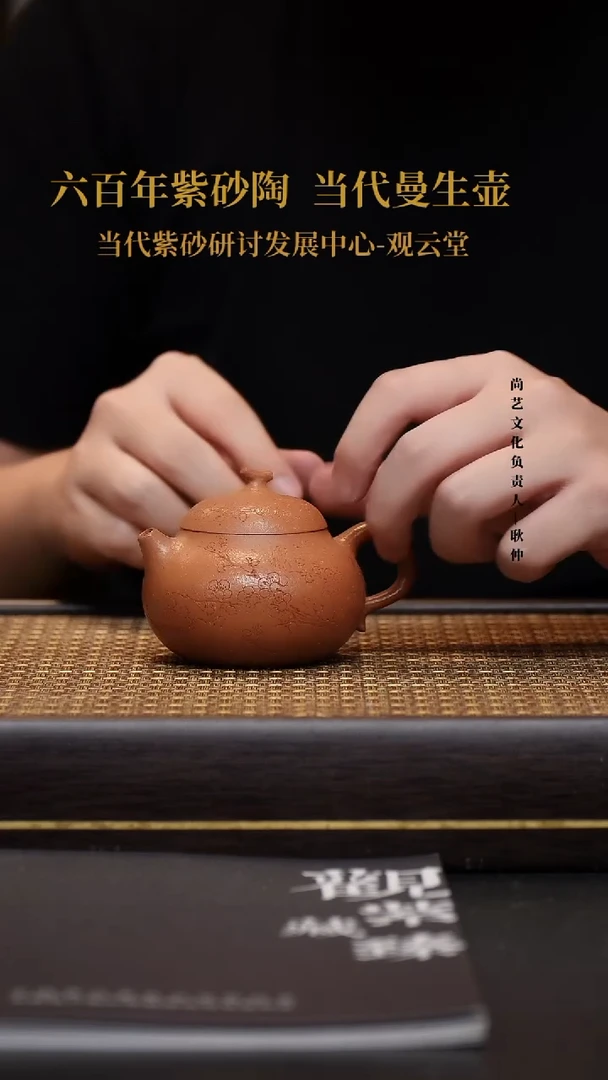 茶壶紫砂宜兴紫砂壶小茄瓜