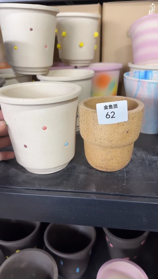 金鱼派62   13白糖豆+10随身杯