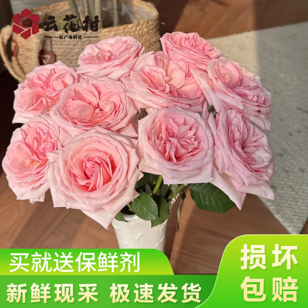粉荔枝玫瑰【全店任意满2件发顺丰京东】云南直发家用鲜花