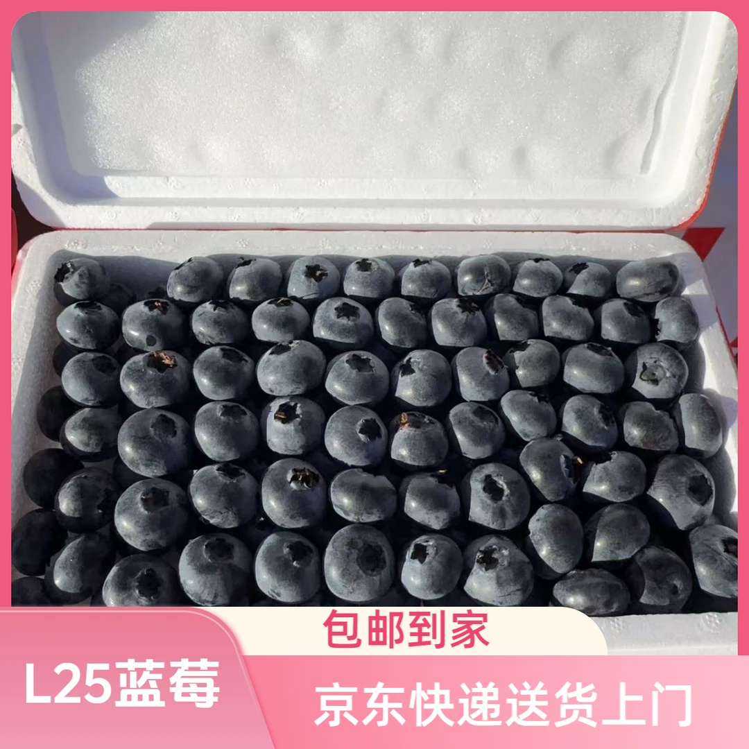 【薯乐园】丹东天赐蓝莓L25 400g 12mm+L25辽宁省丹东市