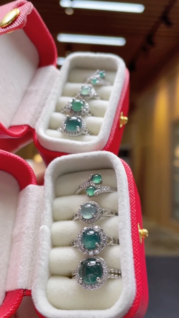 翡翠未镶嵌颈饰多样性发货（只发一套）x10