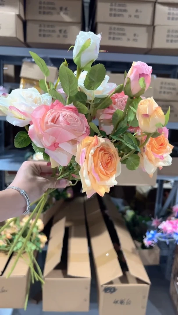 3枝混色焦边月季