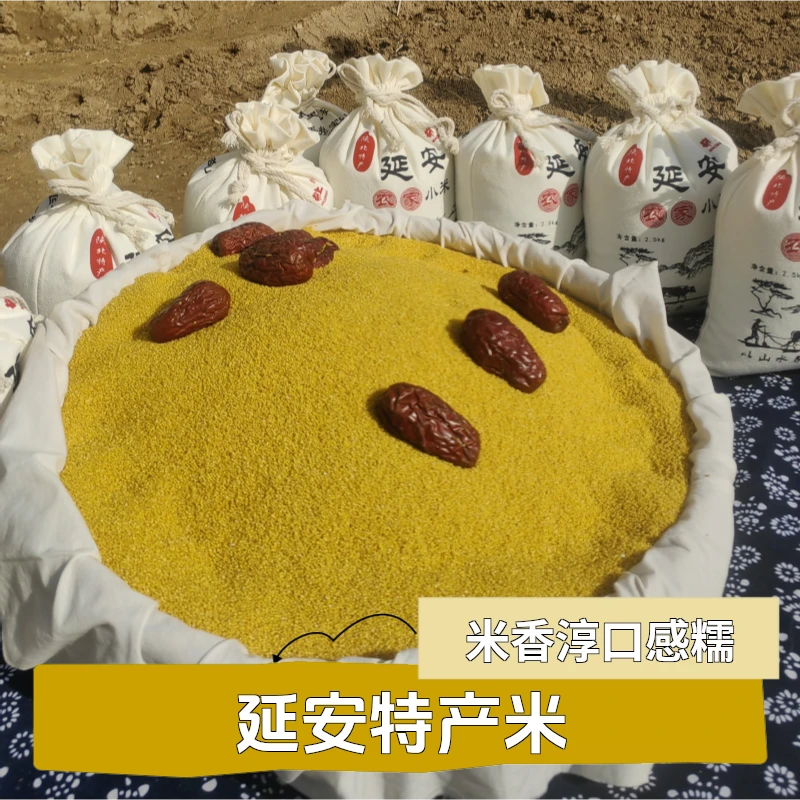 25年现碾新米陕北延安油小米特产农家黄小米粥布袋装小米新米