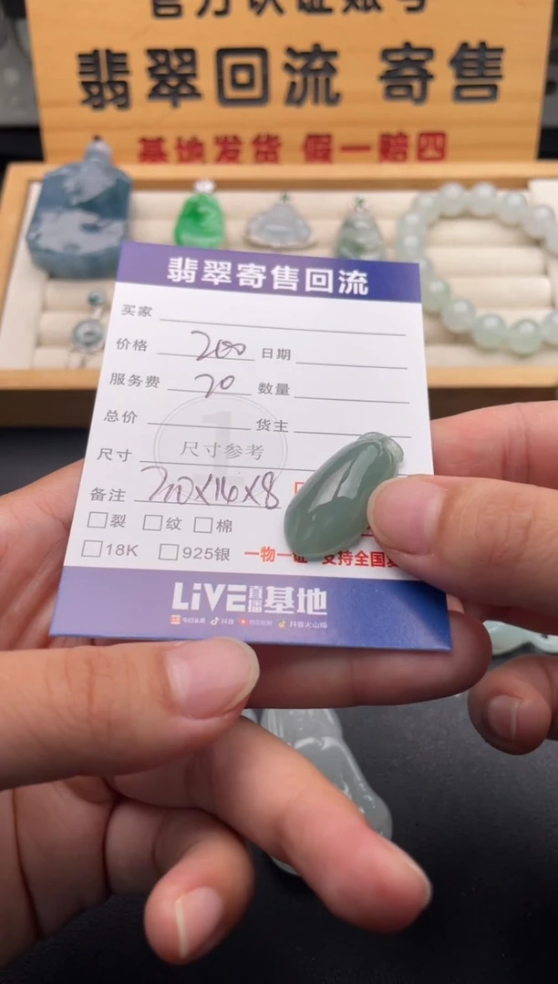 颈饰未镶嵌翡翠10146821