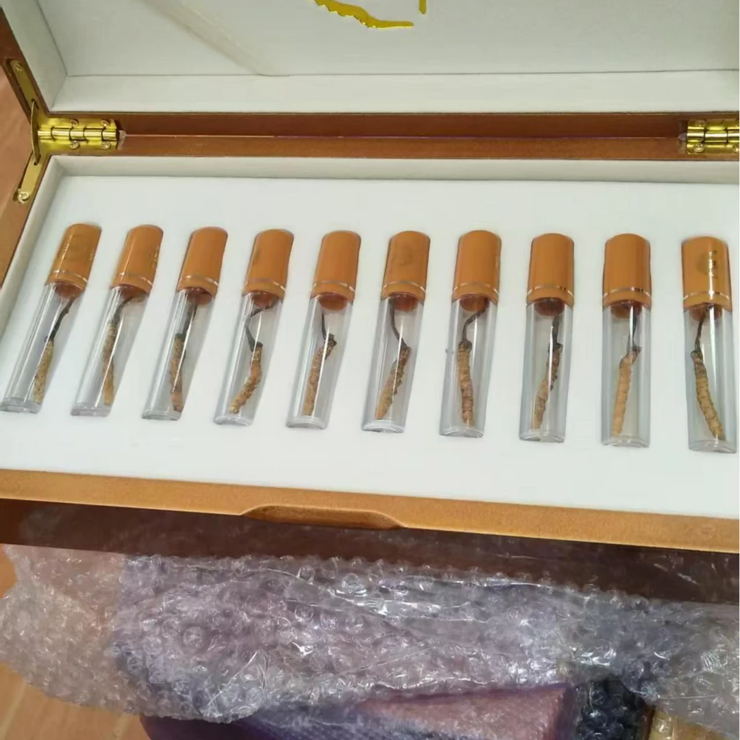 冬虫夏草（干）10条装