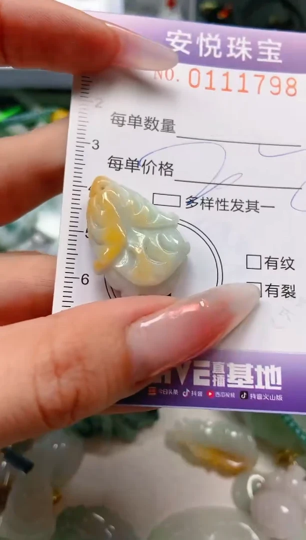 【闪购商品】翡翠颈饰未镶嵌闪购0111798