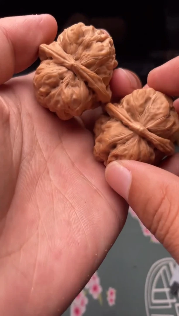 核桃a 104  蛤蟆头37尺