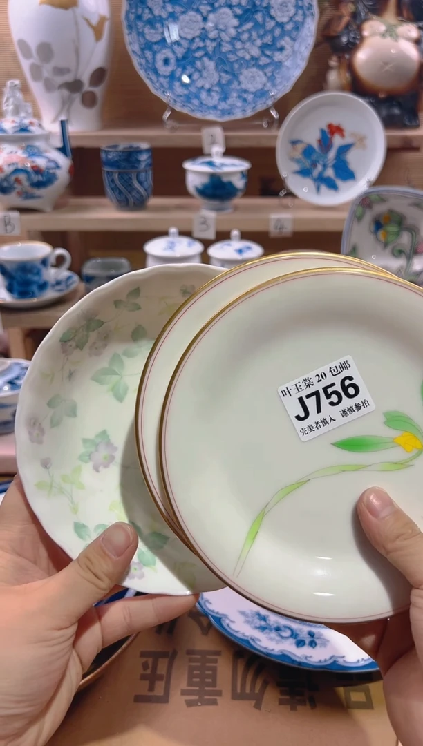 瓷片           J756