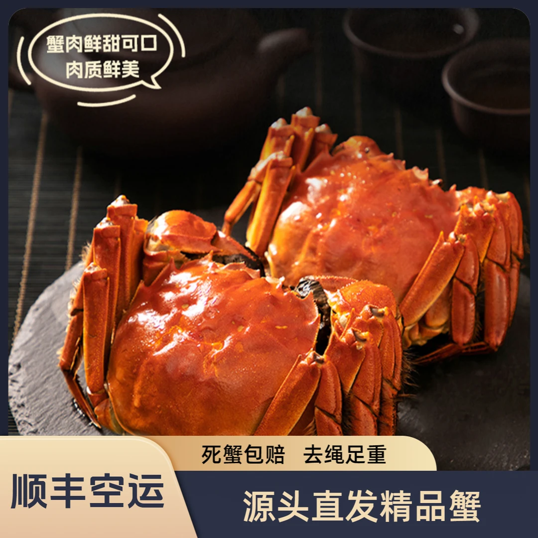 【活蟹】3蟹小妹公蟹8只起（二两三到二两六）+母蟹（一两七到二两一）