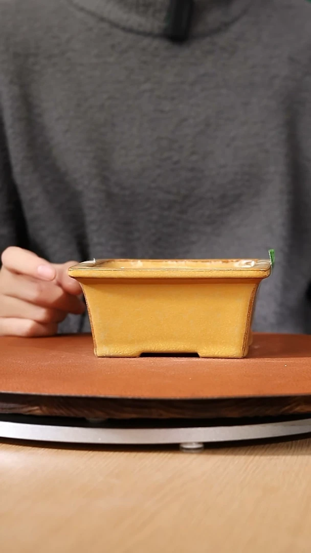 【石湾花盆】581