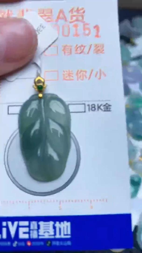 【闪购商品】翡翠颈饰18K金镶嵌4534534