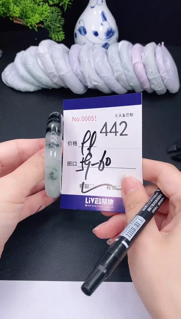 未镶嵌手镯翡翠442
