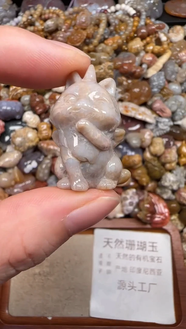 硅化珊瑚（珊瑚玉）未镶嵌颈饰446
