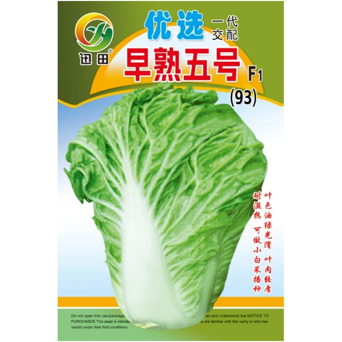 大白菜种子093*优选一代交配早熟五号种籽