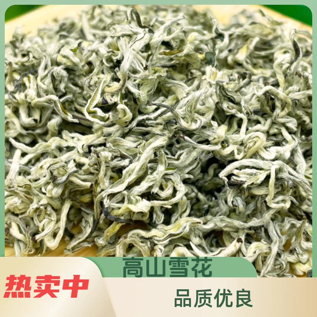 【高山雪花】2025云南普洱春尖绿茶浓香耐泡嫩芽香高回甘（煮泡均可）