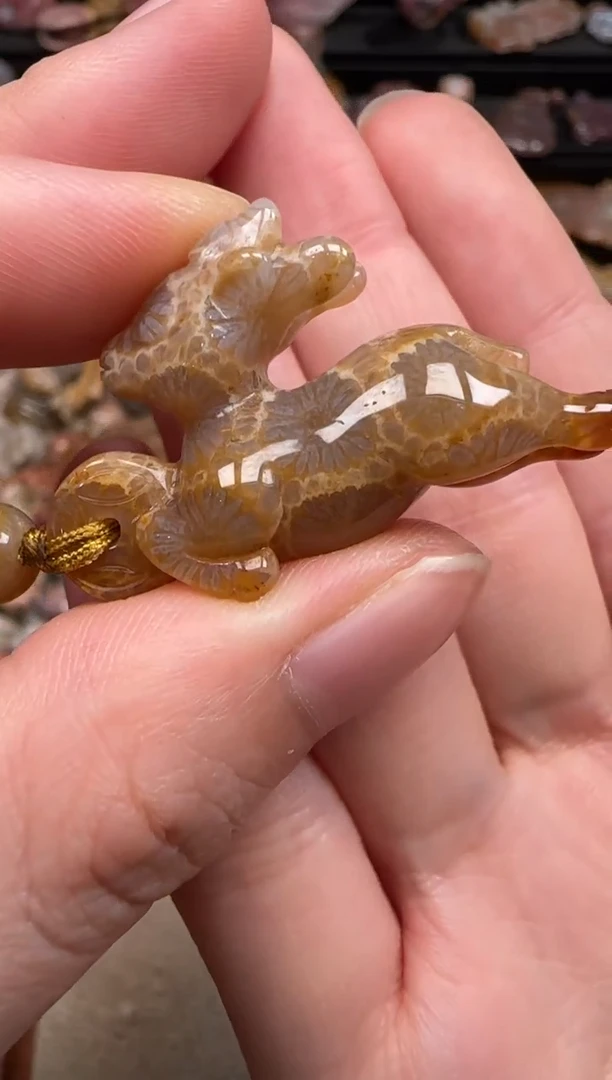 硅化珊瑚（珊瑚玉）未镶嵌颈饰564