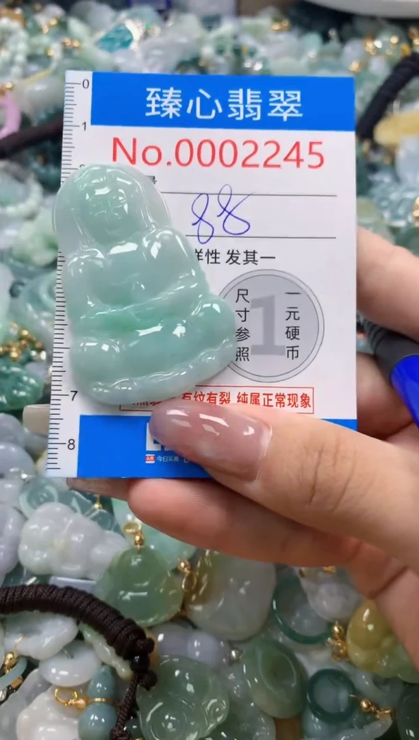 翡翠未镶嵌颈饰含绳0002245