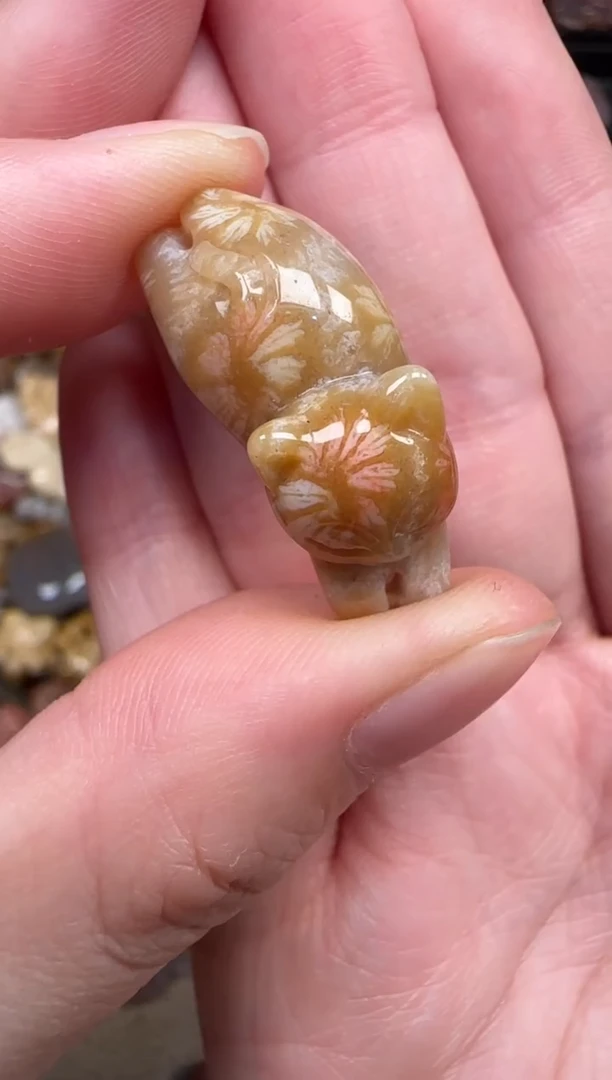 颈饰未镶嵌硅化珊瑚（珊瑚玉）098