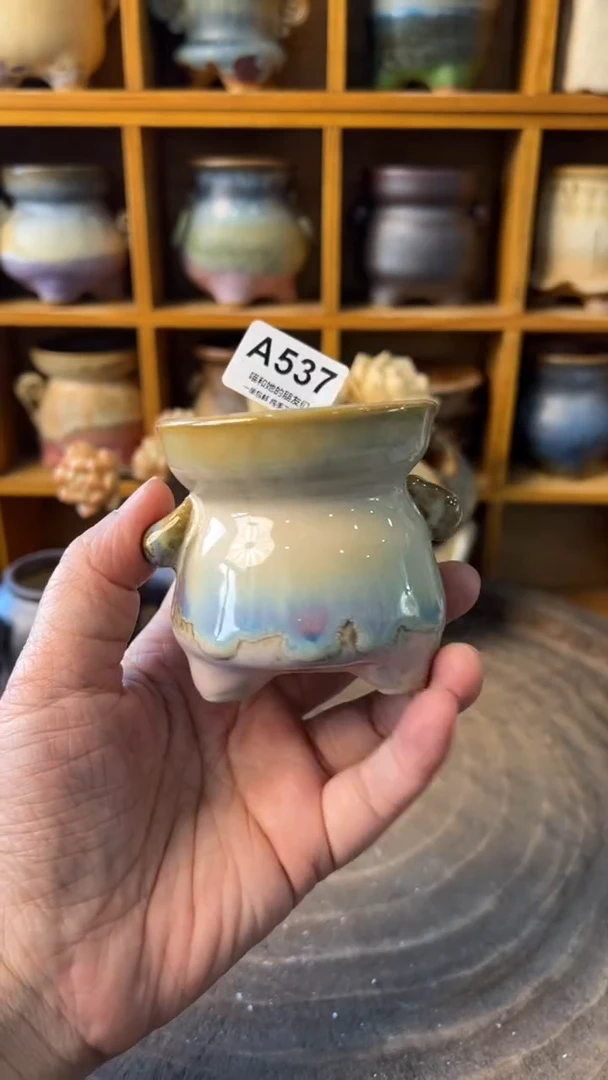 ?****?537【多肉花盆多肉盆】