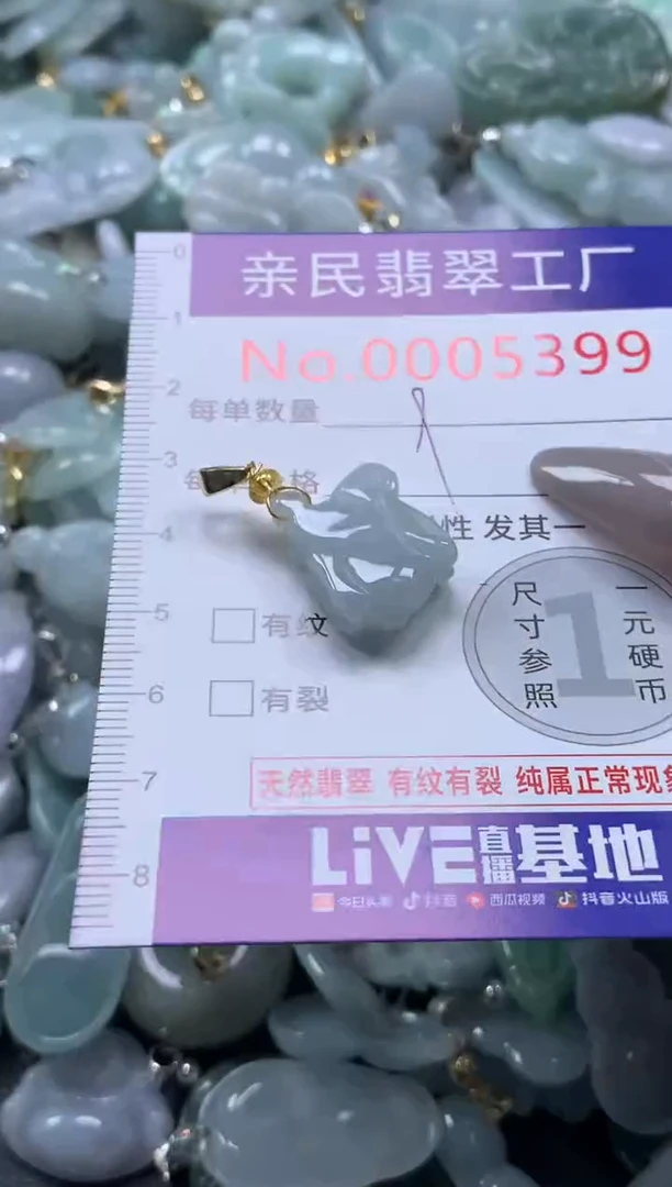 颈饰未镶嵌翡翠5399