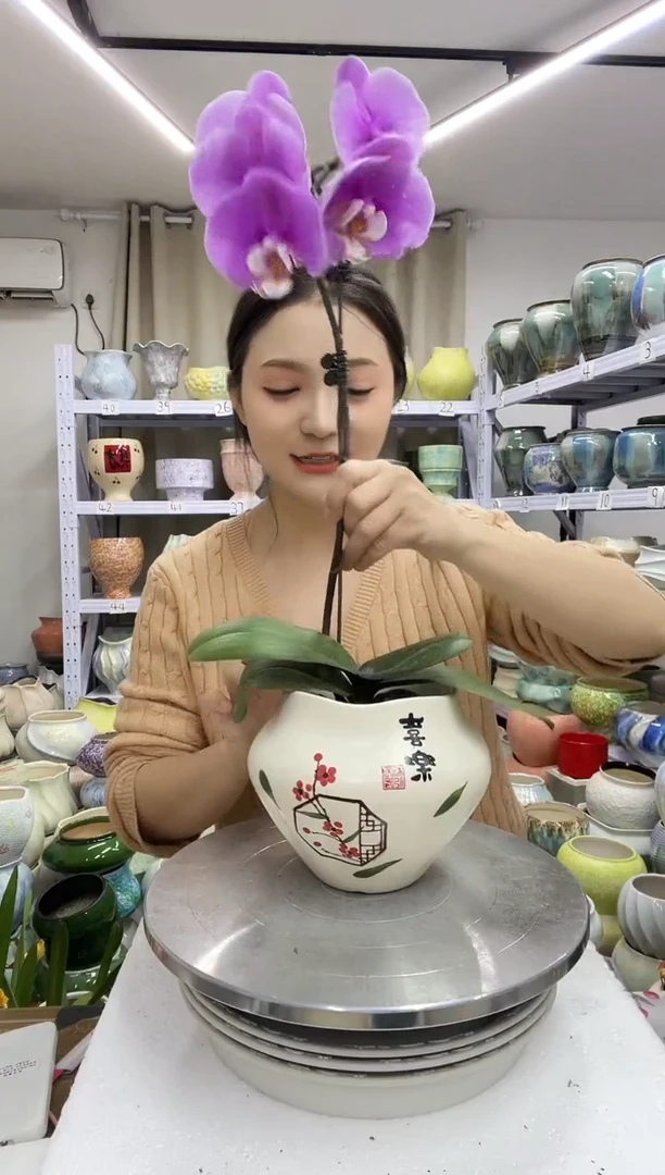 【12.31】花盆链接高：14  口：11