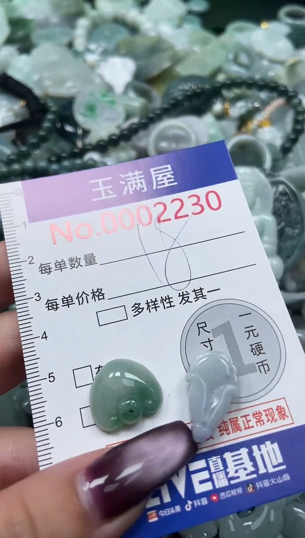 颈饰未镶嵌翡翠2230