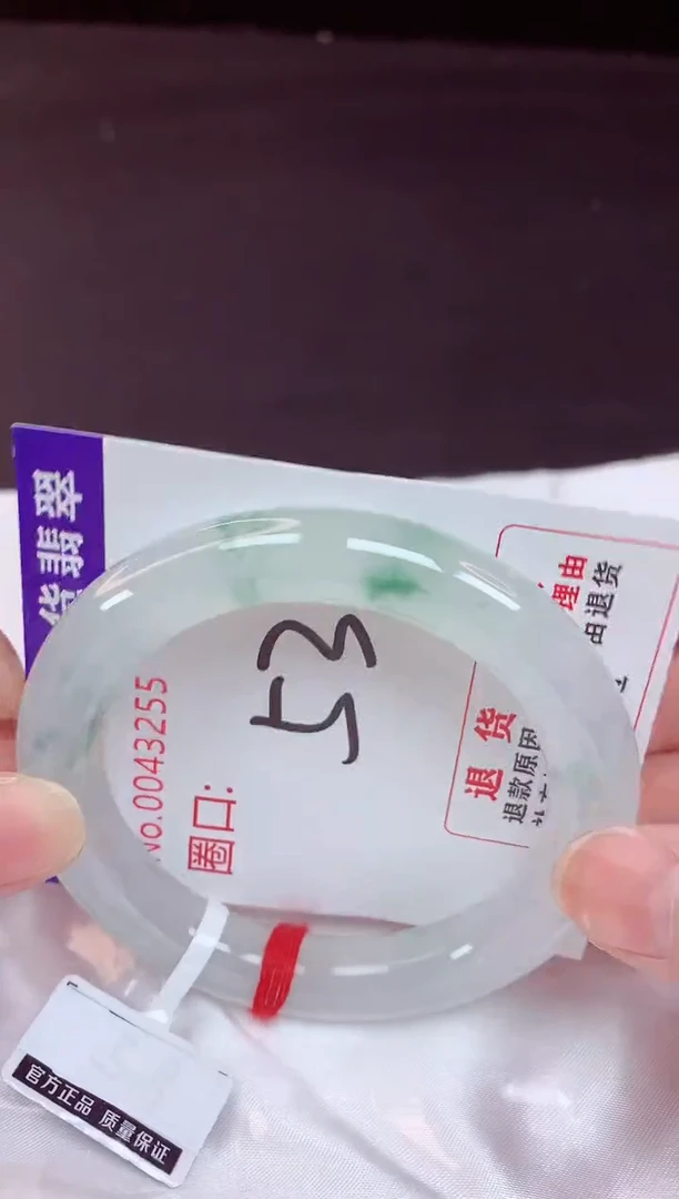 未镶嵌手镯翡翠53（48小时鉴赏期 ）