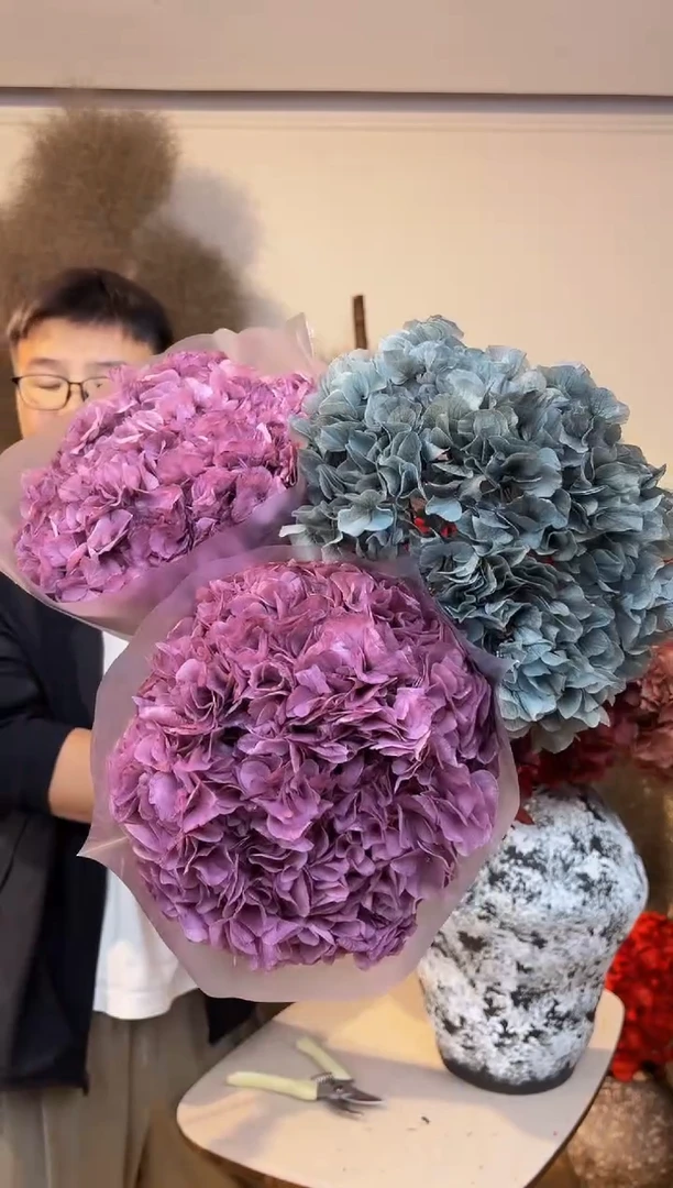 161 山前小麦 · 永生大叶绣球漂色 3枝 紫+灰蓝 特价