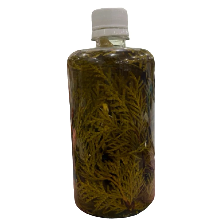 【康】侧柏叶生姜育