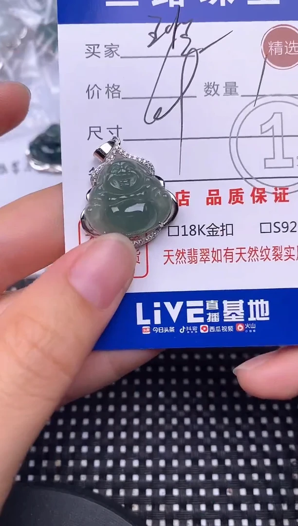 颈饰银S925镶嵌翡翠班*挂件