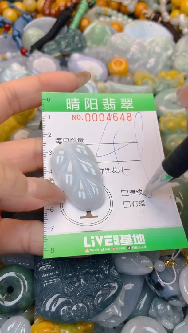 颈饰未镶嵌翡翠闪购0004648